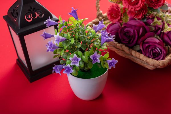 Quatre heures entre la cueillette et le vase, la chaîne du frais chez L'Agitateur Floral