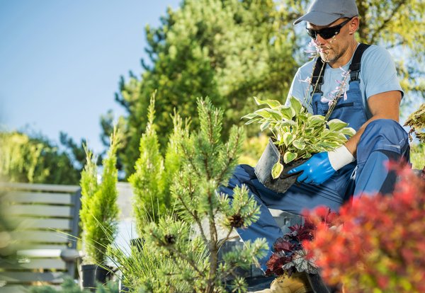 Votre jardin de rêve avec un paysagiste des alpes-maritimes